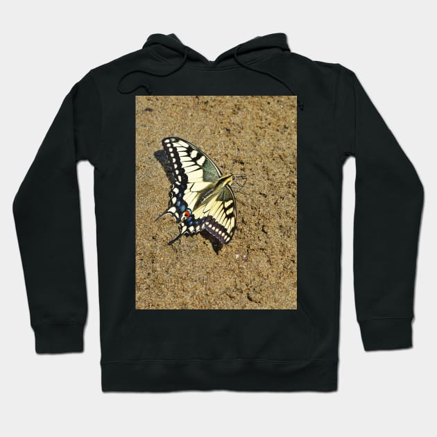 Sand Swallowtail Butterfly Hoodie by Viking Visual - Lori Svensen
